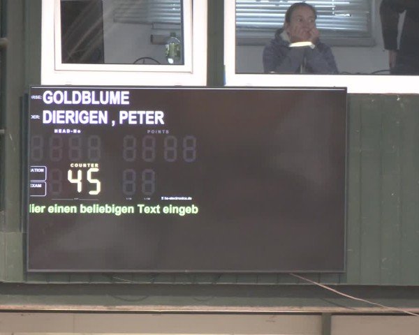 Reitturnier Salzkotten 2024
