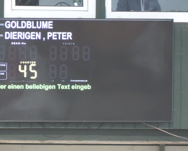Reitturnier Salzkotten 2024