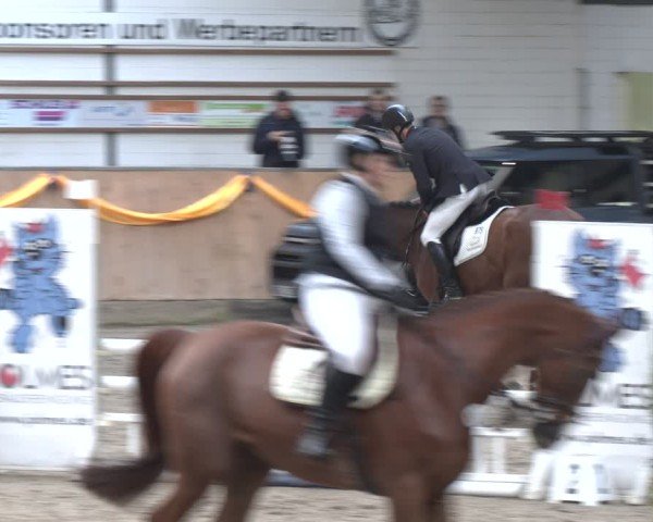 Reitturnier Salzkotten 2024