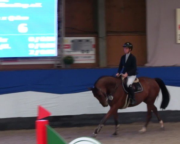 Reitturnier Gadebusch 2024