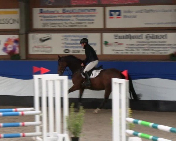 Reitturnier Gadebusch 2024