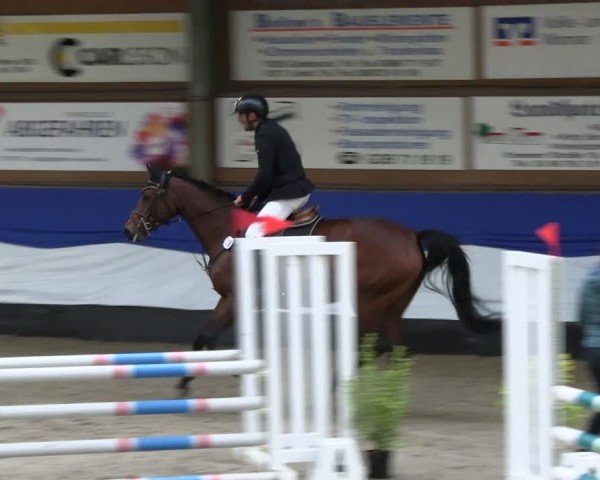 Reitturnier Gadebusch 2024