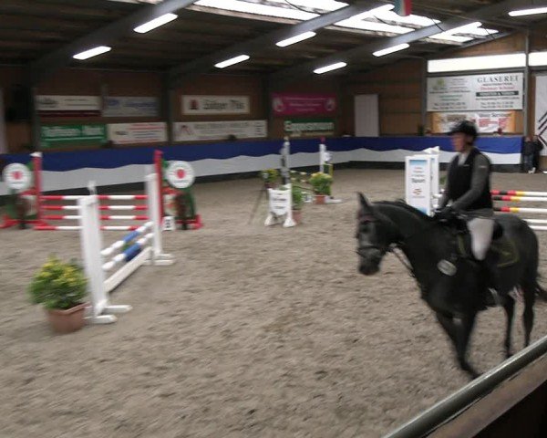 Reitturnier Gadebusch 2024