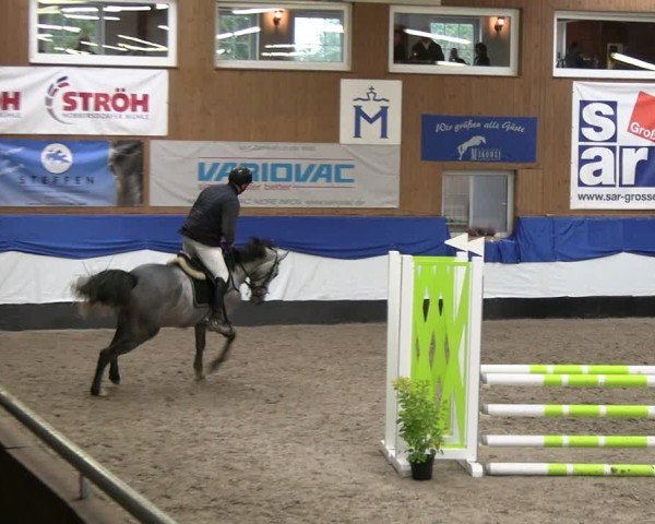 Reitturnier Gadebusch 2024
