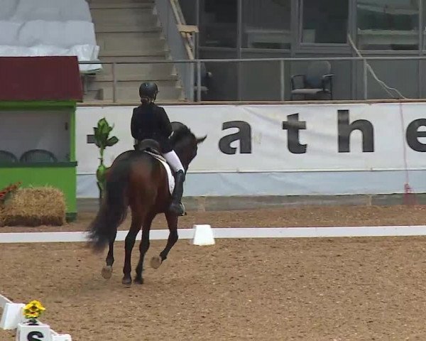 Reitturnier Kreuth/Opf. 2021
