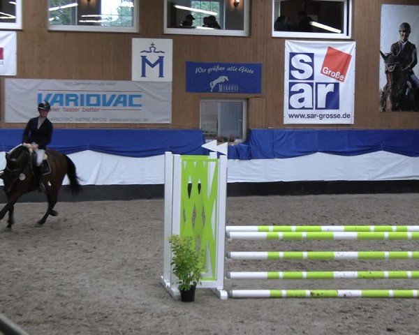 Reitturnier Gadebusch 2024