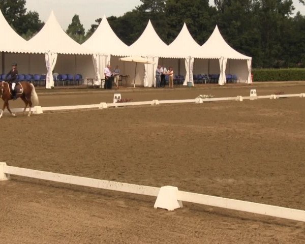 Reitturnier Münster-Handorf 2013