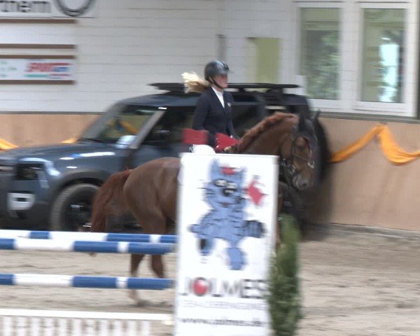 Reitturnier Salzkotten 2024
