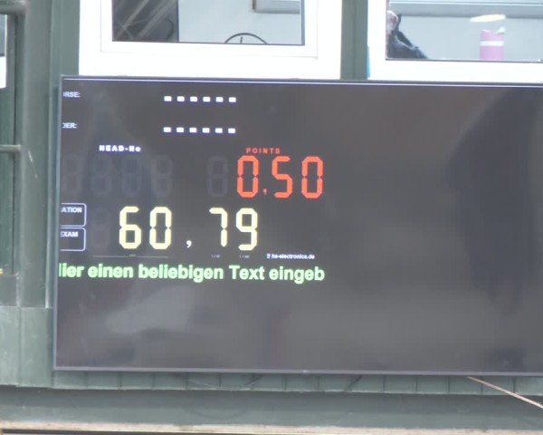 Reitturnier Salzkotten 2024