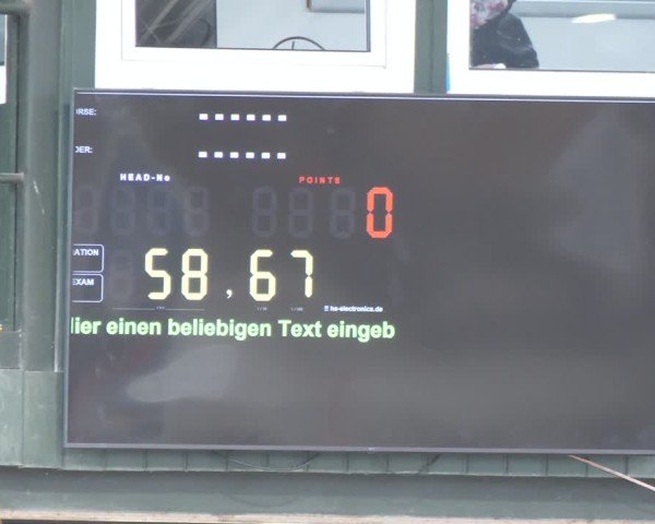 Reitturnier Salzkotten 2024