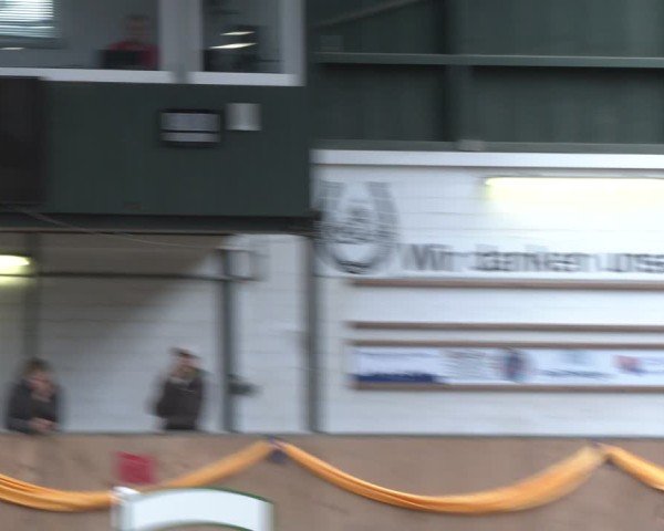 Reitturnier Salzkotten 2024