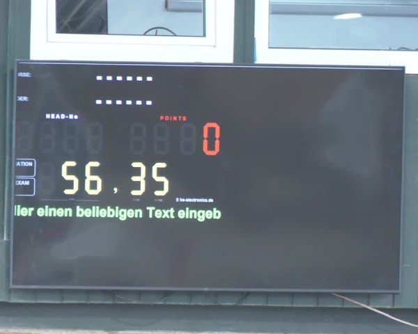 Reitturnier Salzkotten 2024
