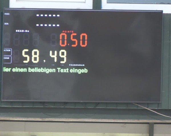 Reitturnier Salzkotten 2024