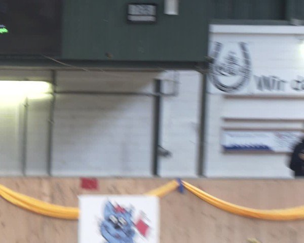 Reitturnier Salzkotten 2024