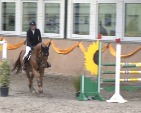 Reitturnier Salzkotten 2024