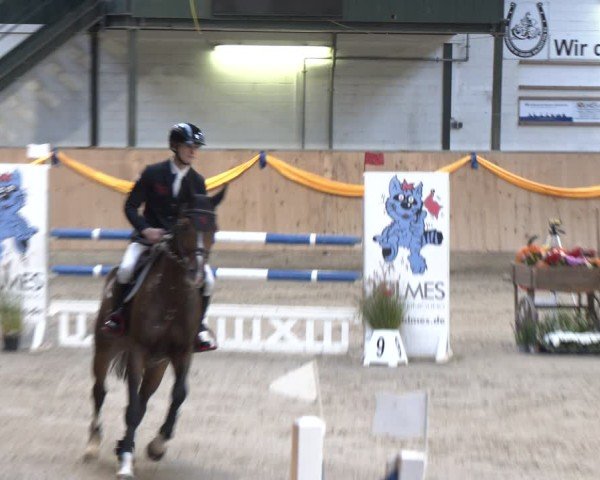 Reitturnier Salzkotten 2024