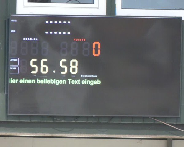 Reitturnier Salzkotten 2024