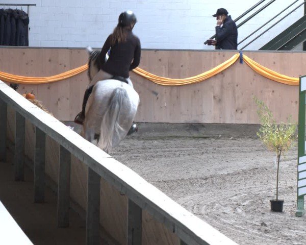 Reitturnier Salzkotten 2024