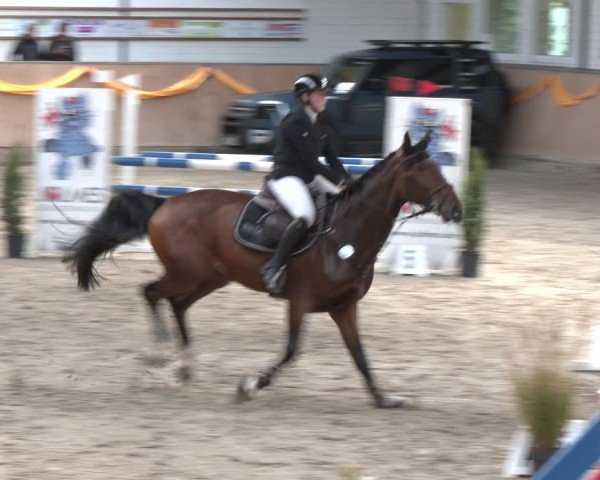 Reitturnier Salzkotten 2024