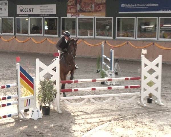 Reitturnier Salzkotten 2024