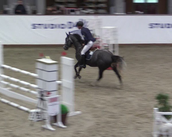 Reitturnier Prussendorf 2024