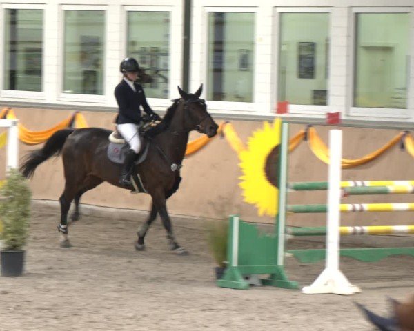 Reitturnier Salzkotten 2024
