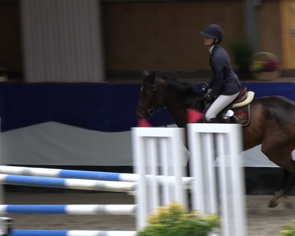 Reitturnier Gadebusch 2024