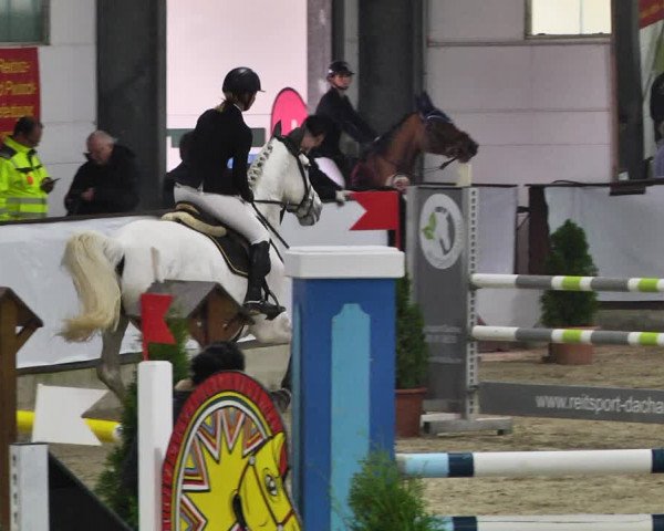 Reitturnier Karlsfeld/Obb. 2021