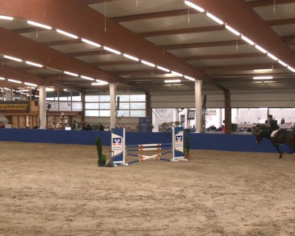 Reitturnier Isterberg 2024