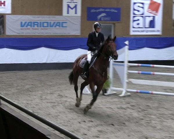 Reitturnier Gadebusch 2024