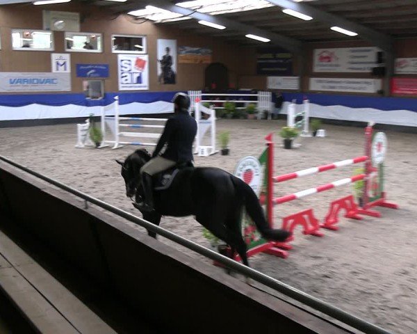 Reitturnier Gadebusch 2024