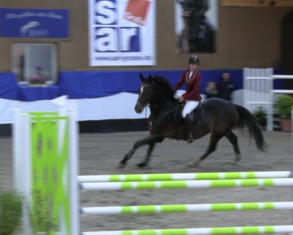 Reitturnier Gadebusch 2024