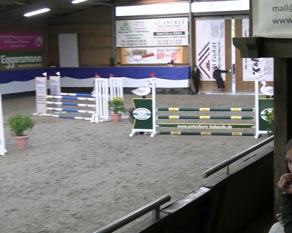 Reitturnier Gadebusch 2024