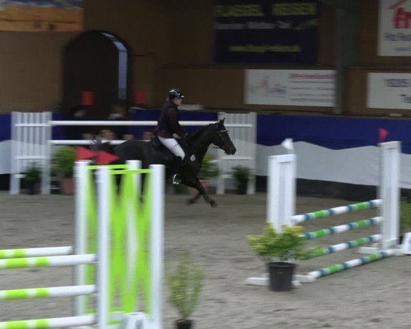 Reitturnier Gadebusch 2024