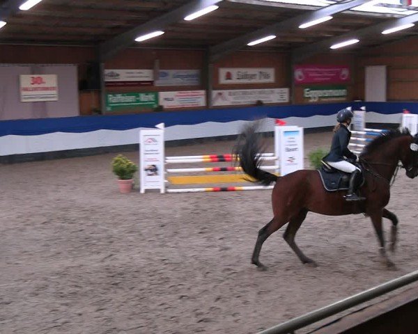 Reitturnier Gadebusch 2024