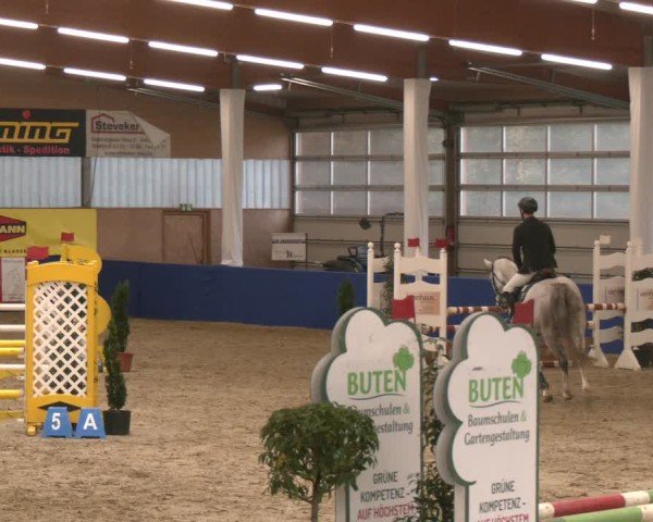 Reitturnier Isterberg 2024