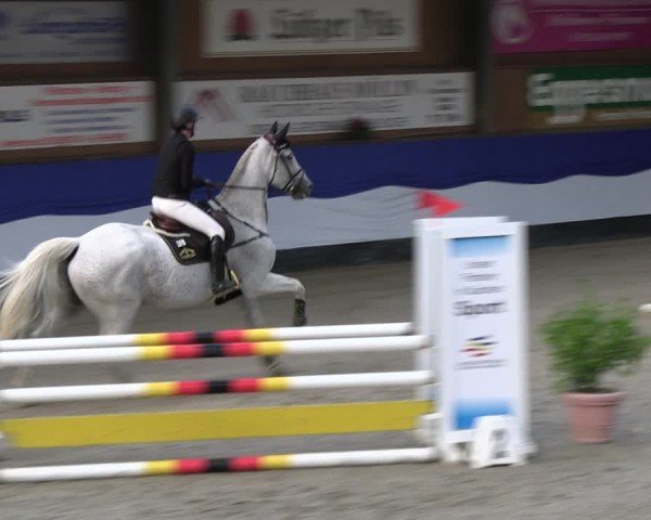 Reitturnier Gadebusch 2024