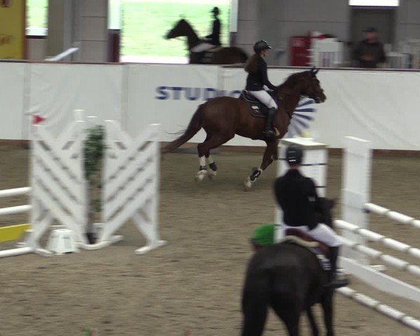 Reitturnier Prussendorf 2024