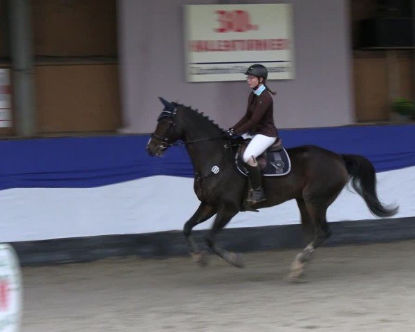 Reitturnier Gadebusch 2024