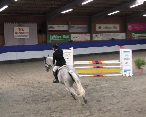 Reitturnier Gadebusch 2024
