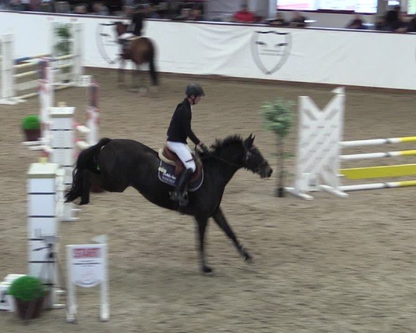 Reitturnier Prussendorf 2024