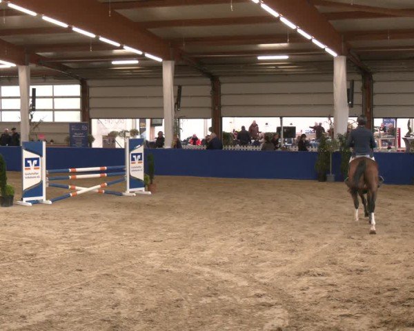 Reitturnier Isterberg 2024