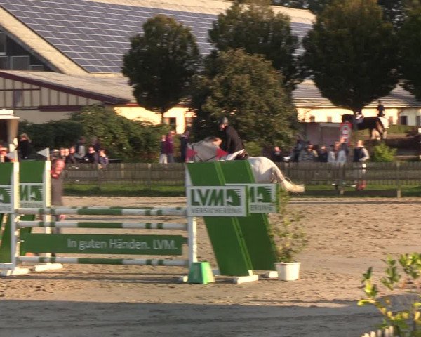 Reitturnier Schülp / Rendsburg 2021