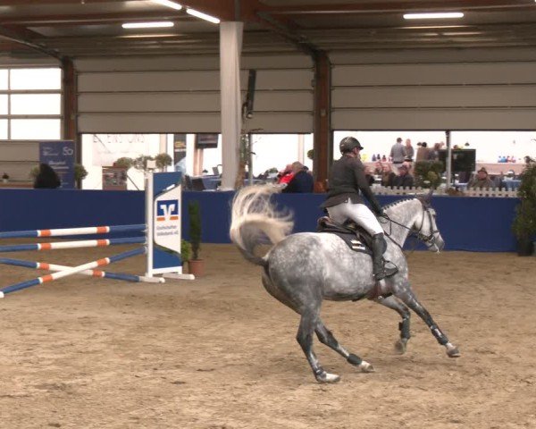 Reitturnier Isterberg 2024