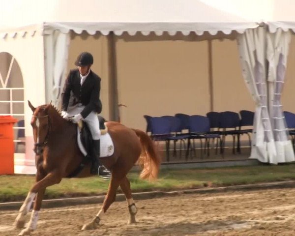 Reitturnier Münster-Handorf 2013