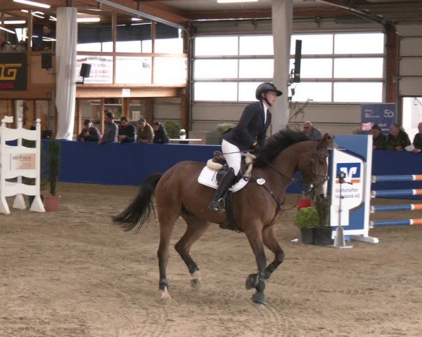 Reitturnier Isterberg 2024