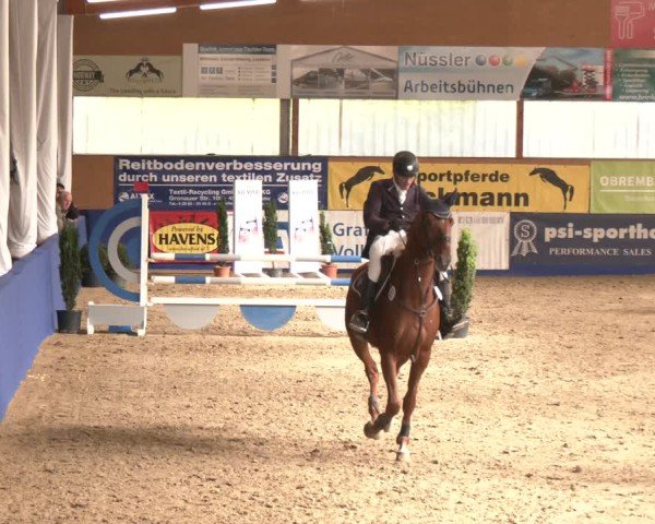 Reitturnier Isterberg 2024