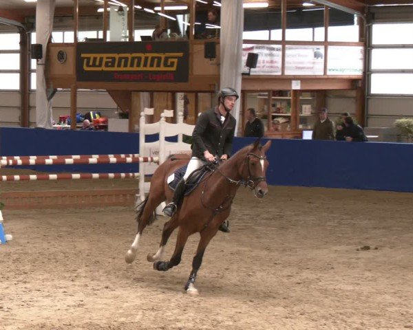 Reitturnier Isterberg 2024