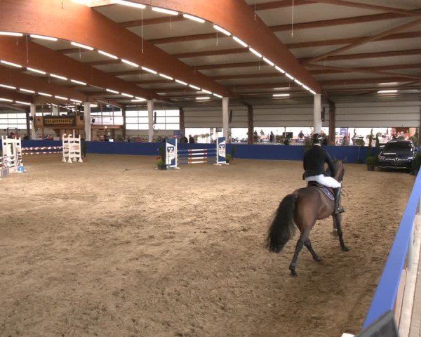 Reitturnier Isterberg 2024