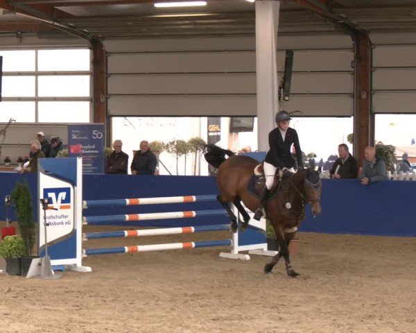 Reitturnier Isterberg 2024